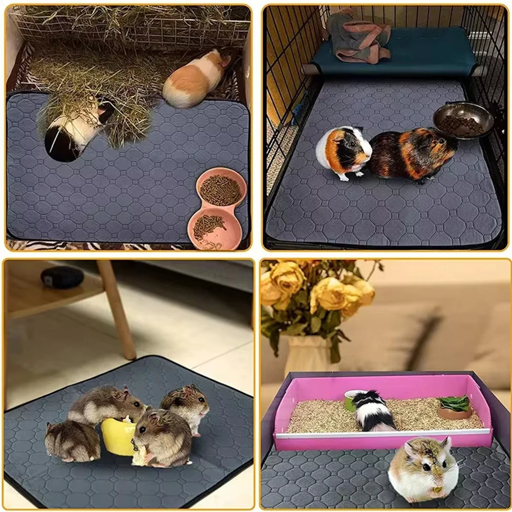 CozyPaws Mat