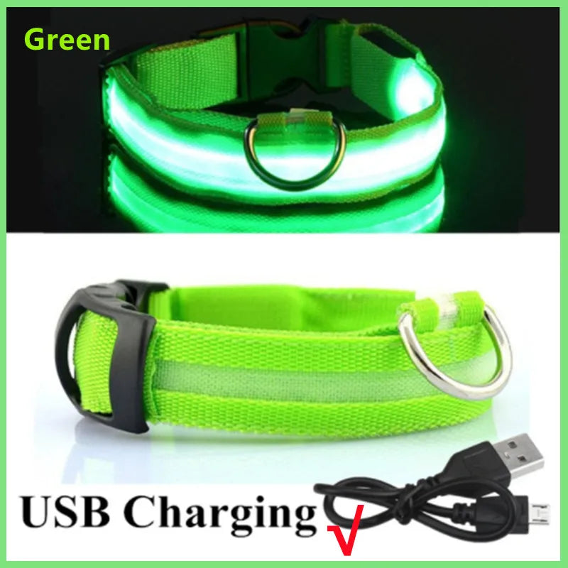 GlowPaw Safety Light Collar