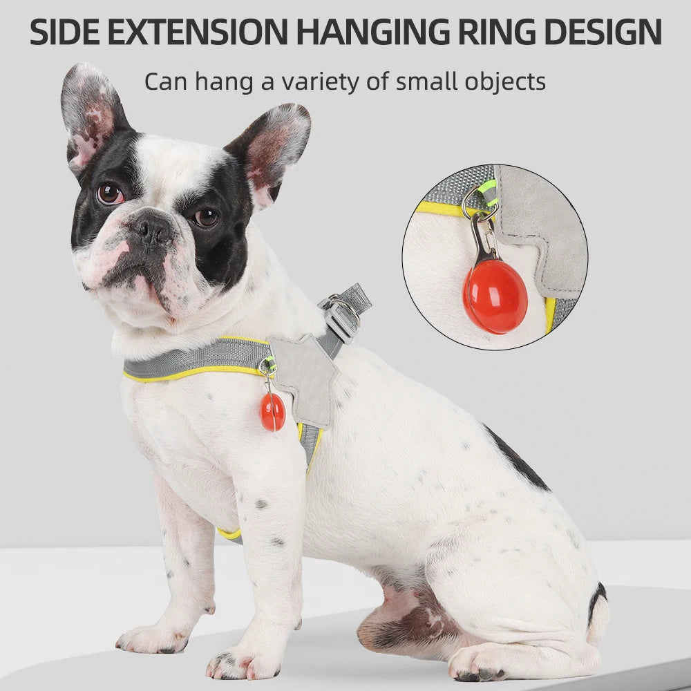 SafePaw Harness