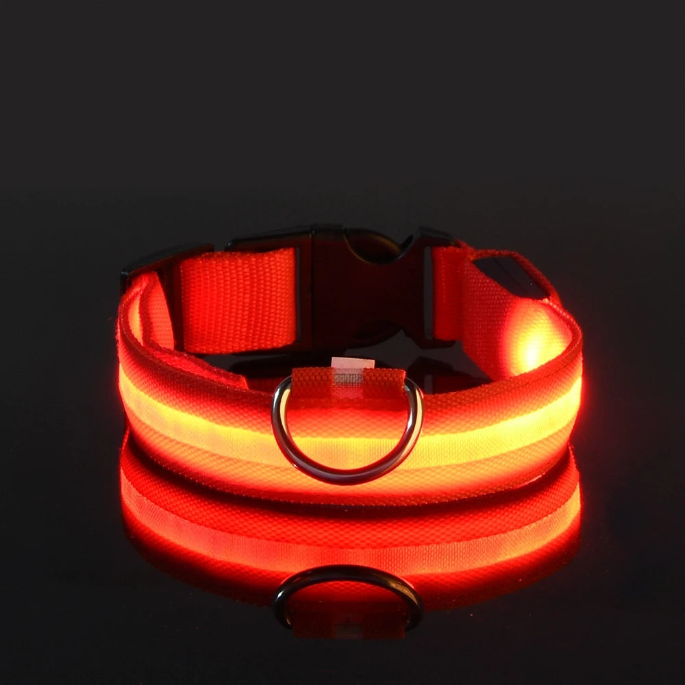 GlowPaw