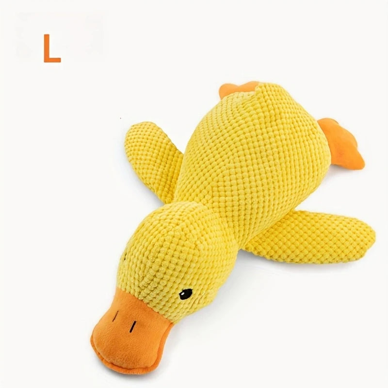 CalmDuck