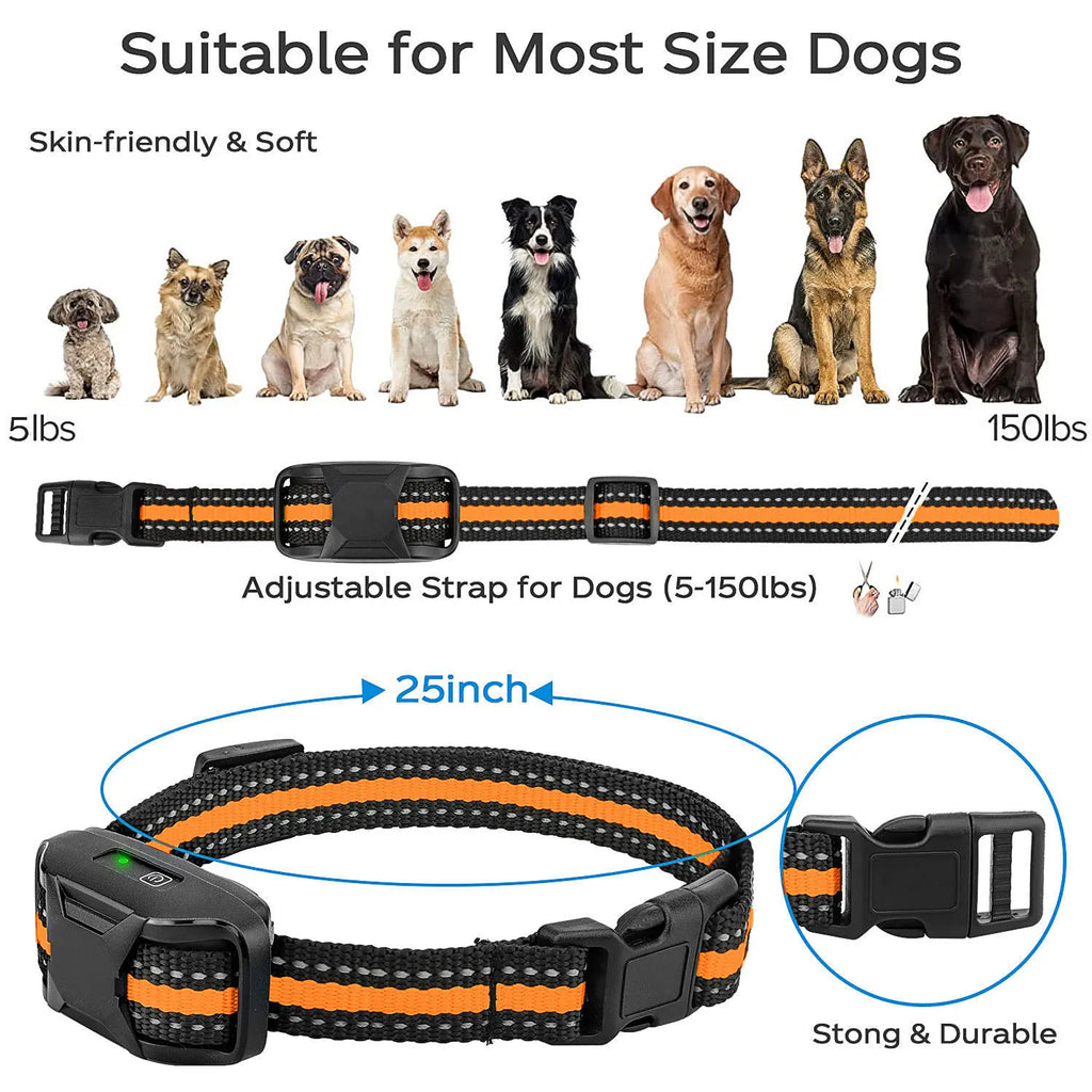 PawGuide Trainer