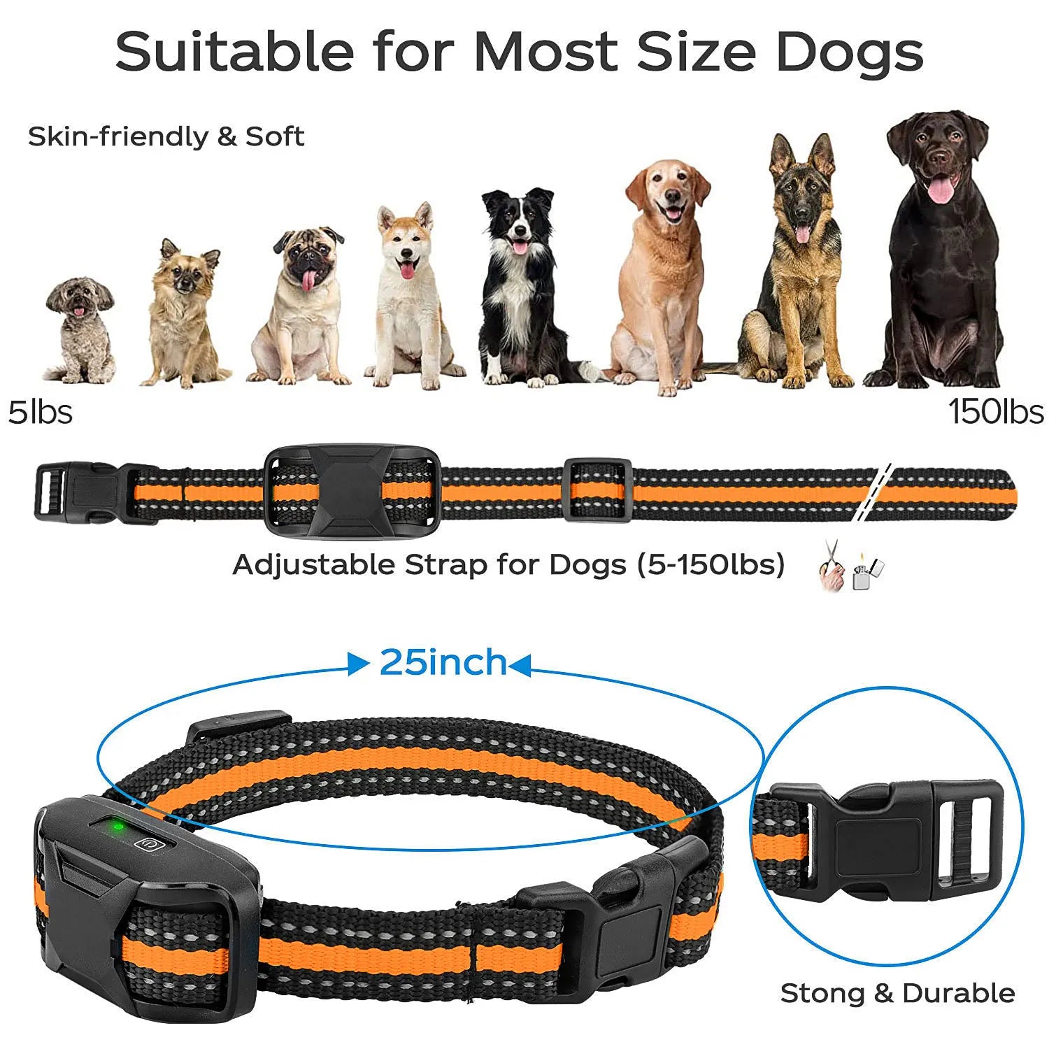 PawGuide Trainer