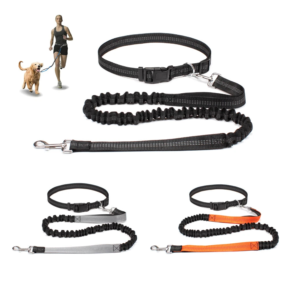 PawStride Hands-Free Dog Leash