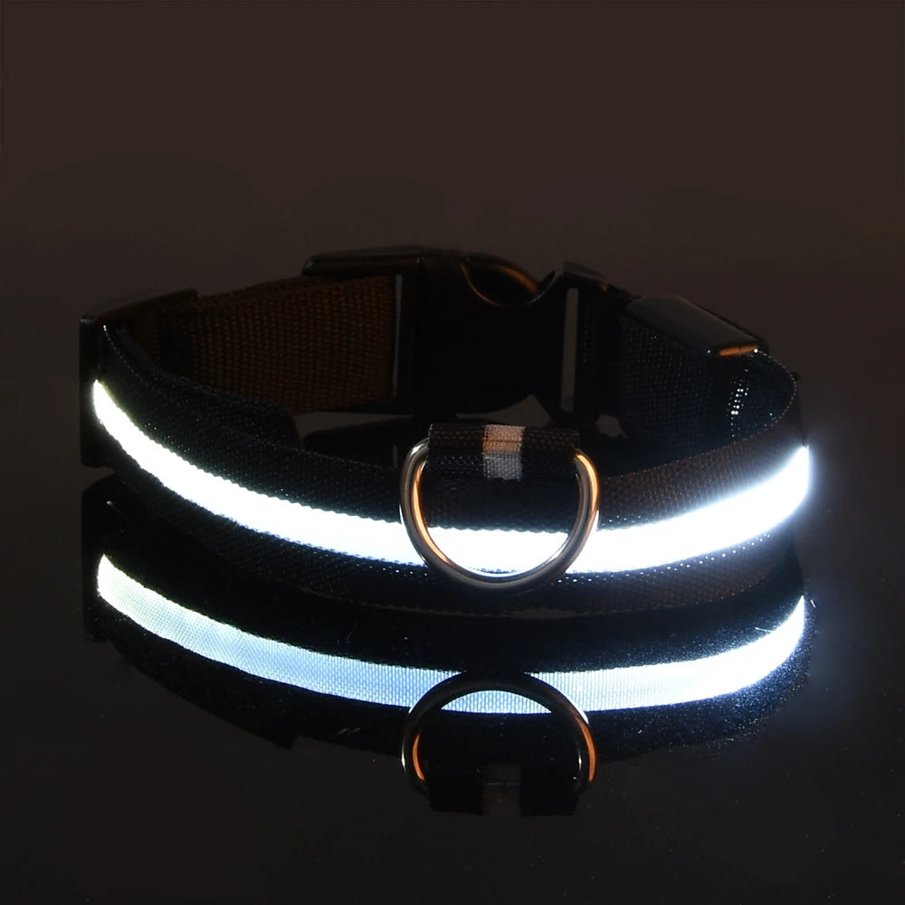 GlowPaw