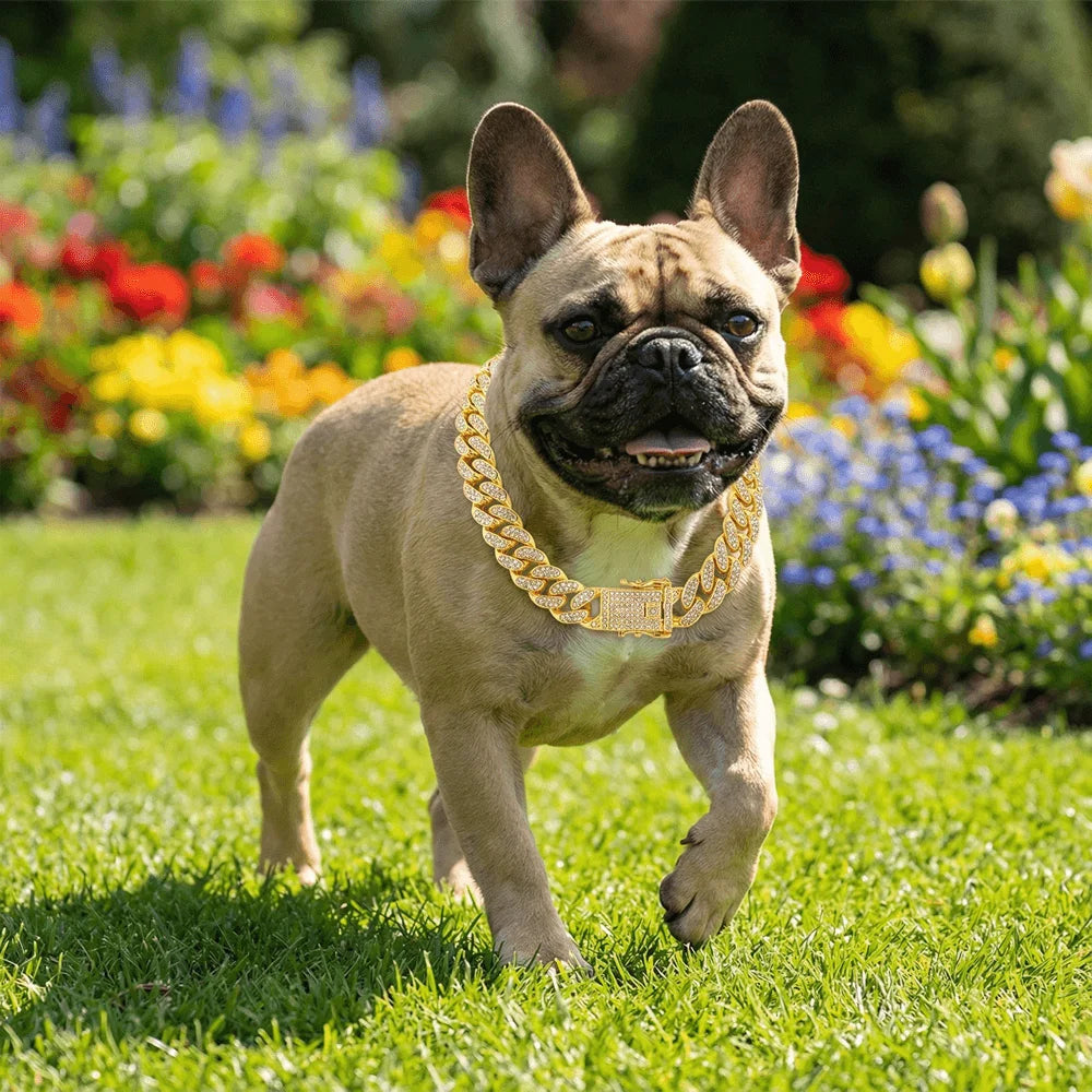 GoldPaw Luxury Pet Chain
