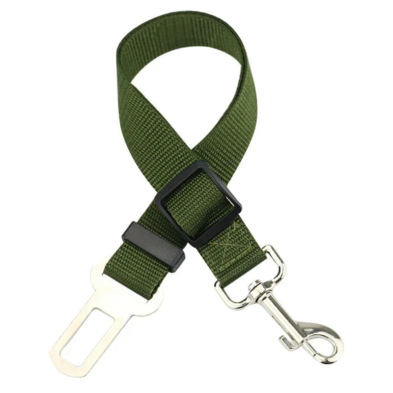 PawBuckle