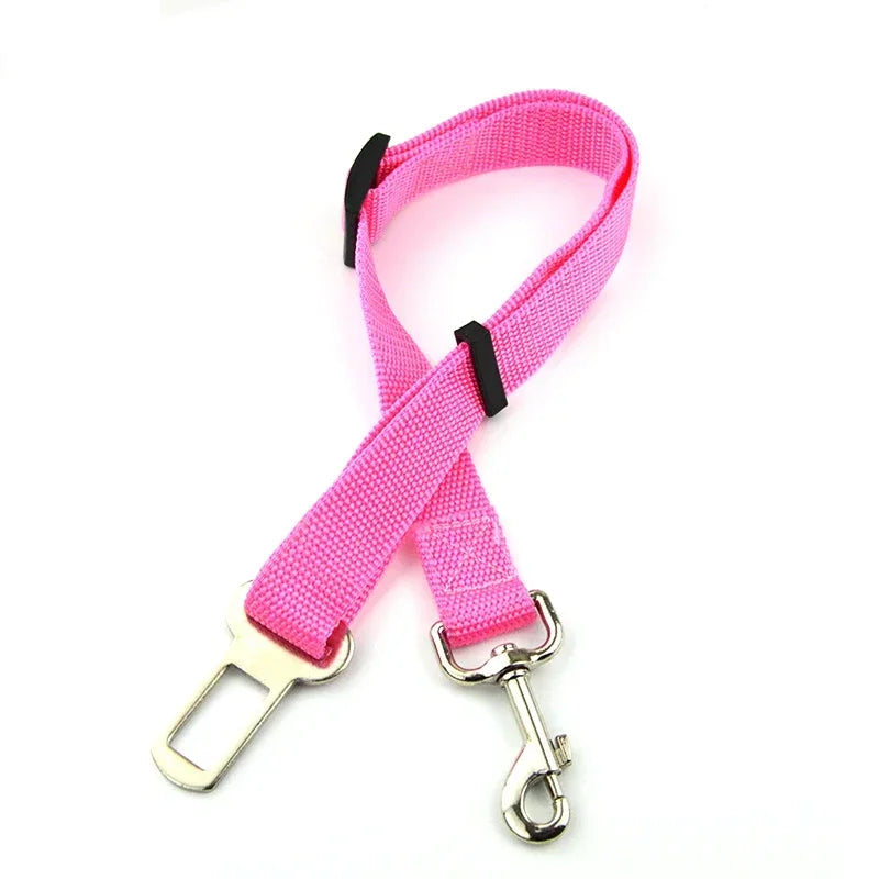 PawBuckle