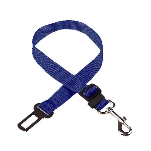 PawBuckle