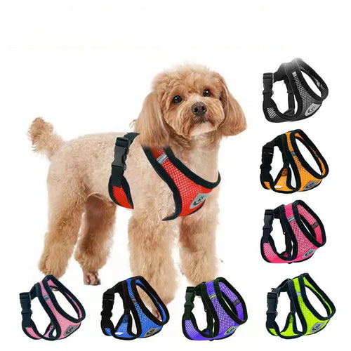 AirPaw™ Breathable No-Pull Dog Harness