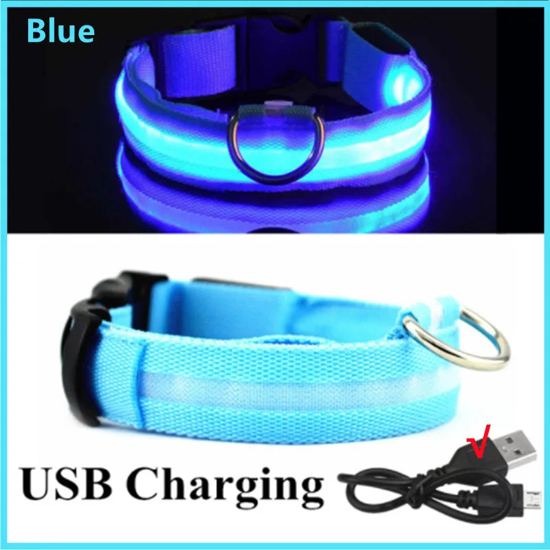 GlowPaw Safety Light Collar