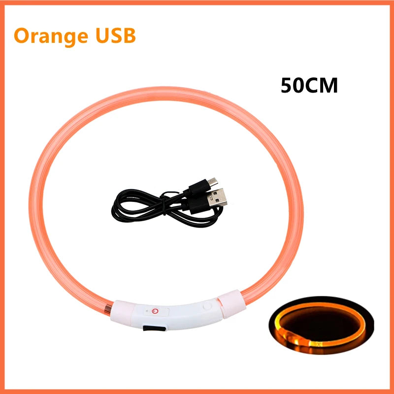 GlowPaw Safety Light Collar