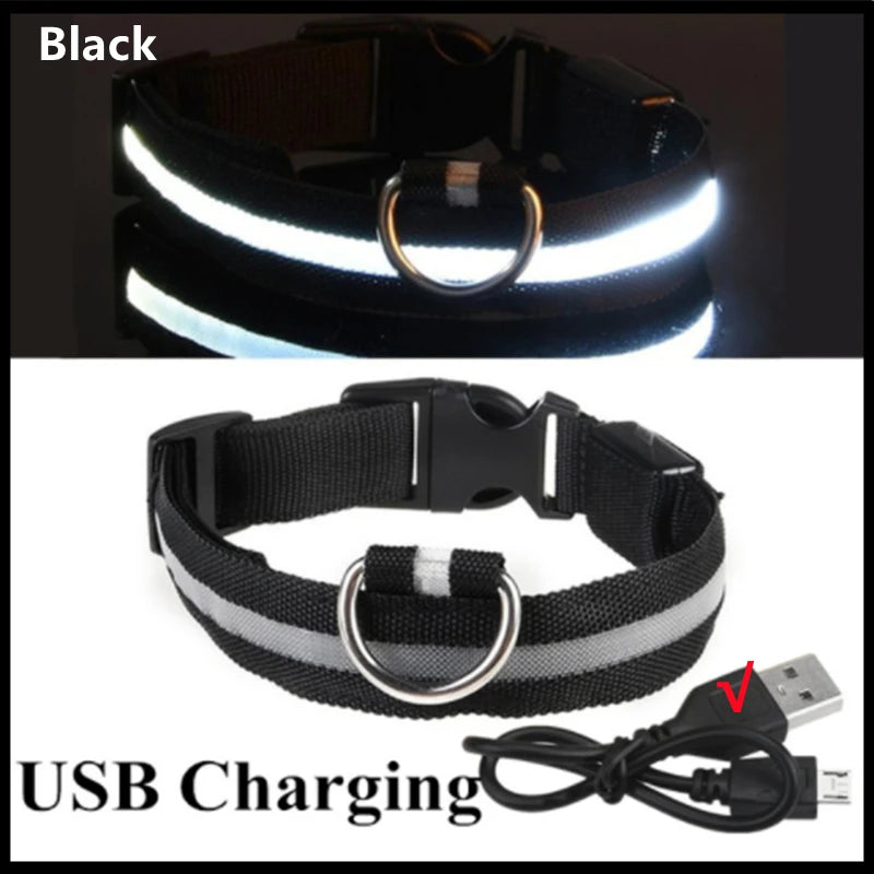 GlowPaw Safety Light Collar