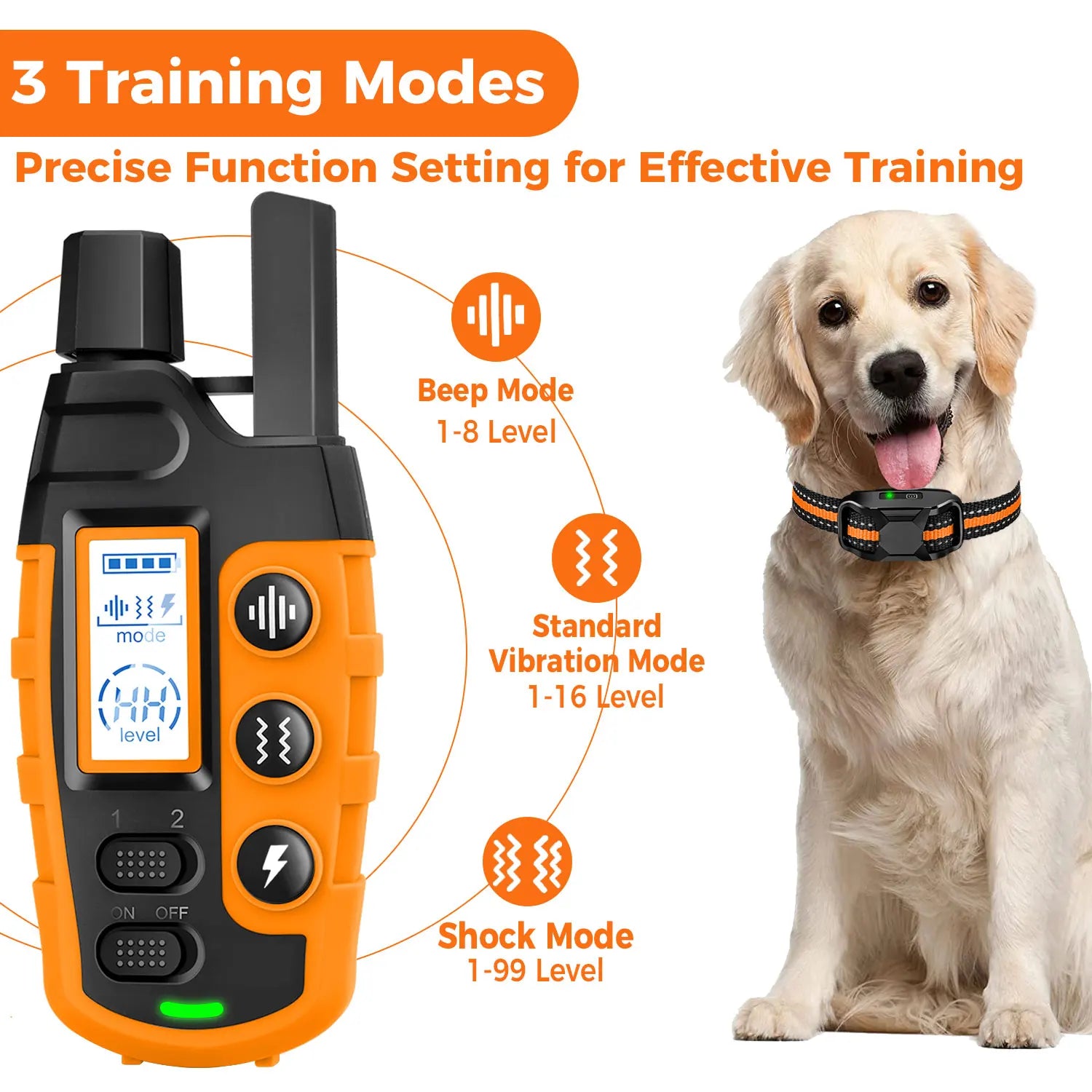 PawGuide Trainer