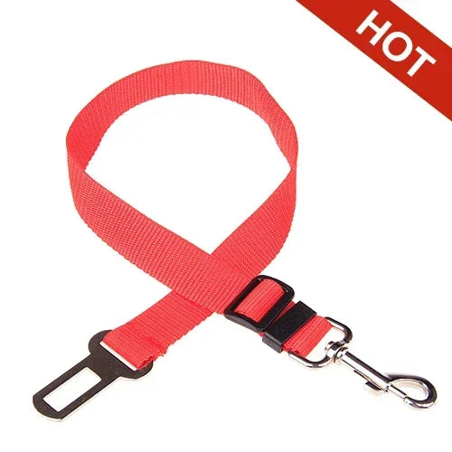 PawBuckle