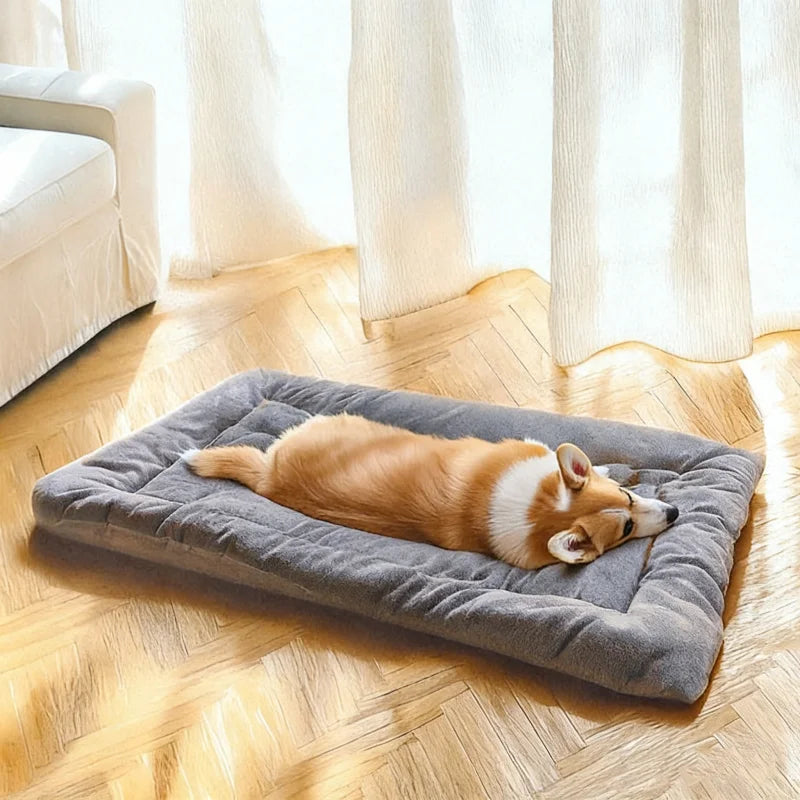 CloudPaw