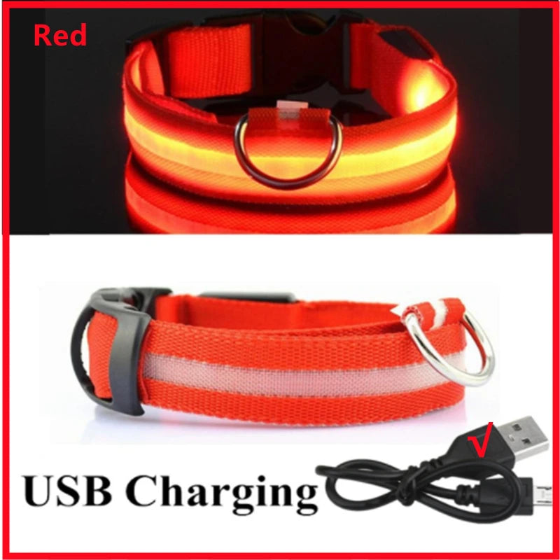 GlowPaw Safety Light Collar