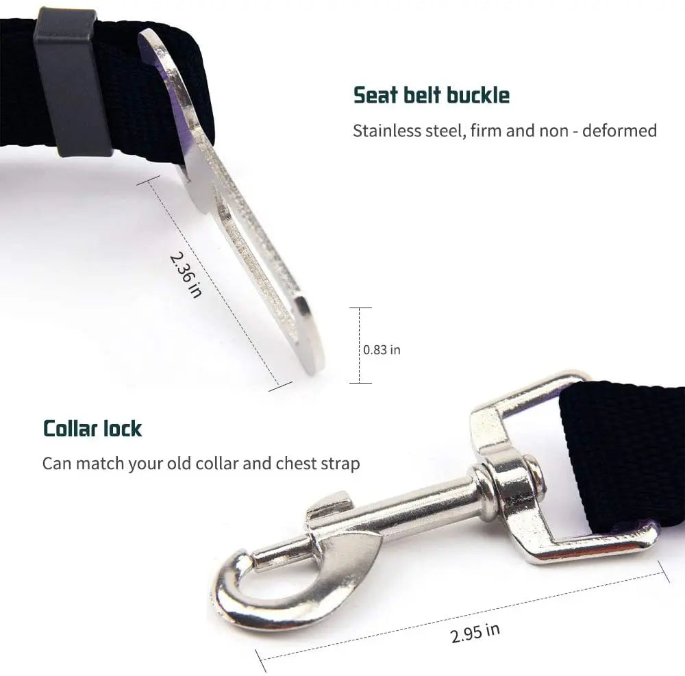 PawBuckle