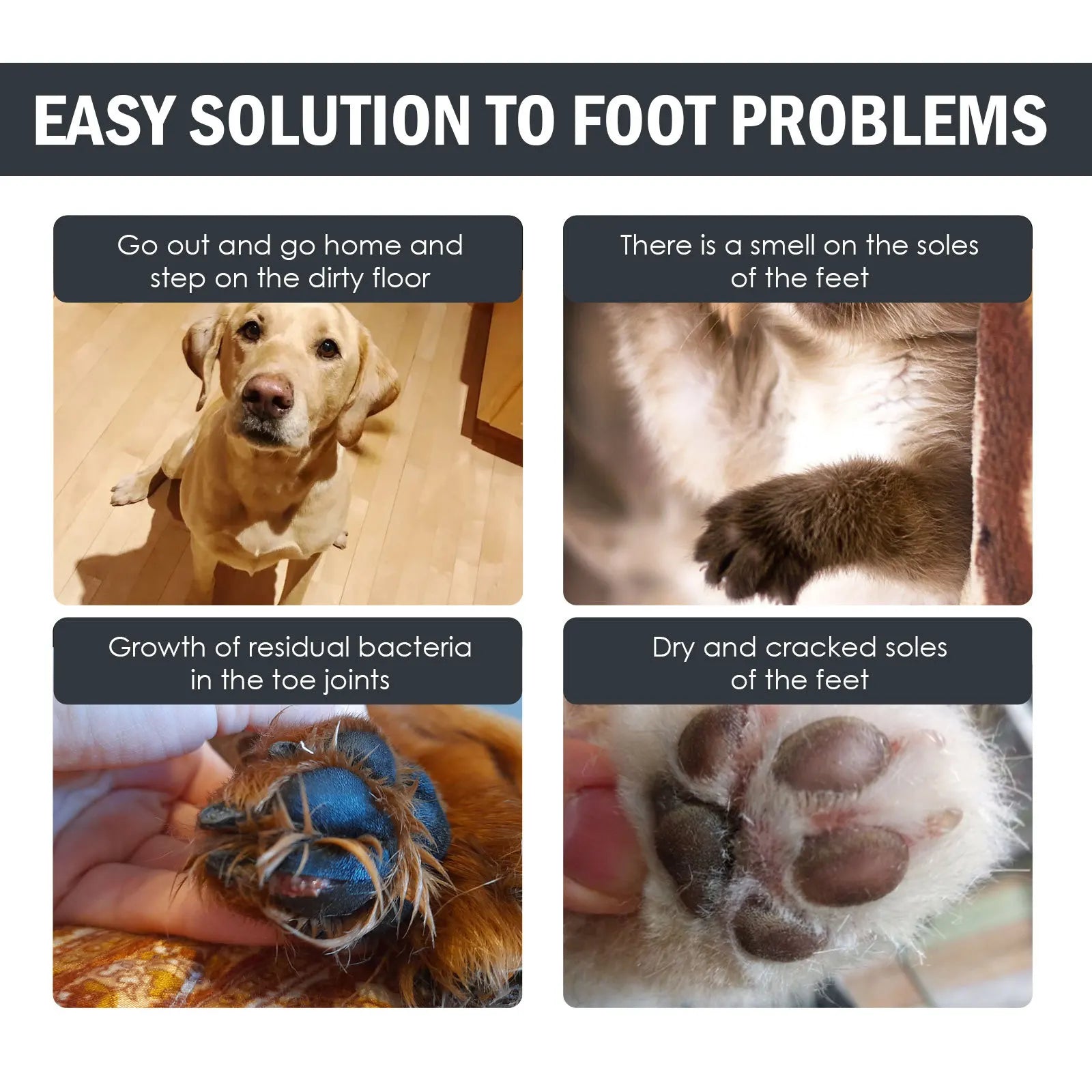 PurePaws™ Foam Brush – Gentle Waterless Paw Cleanser for Sensitive Pets