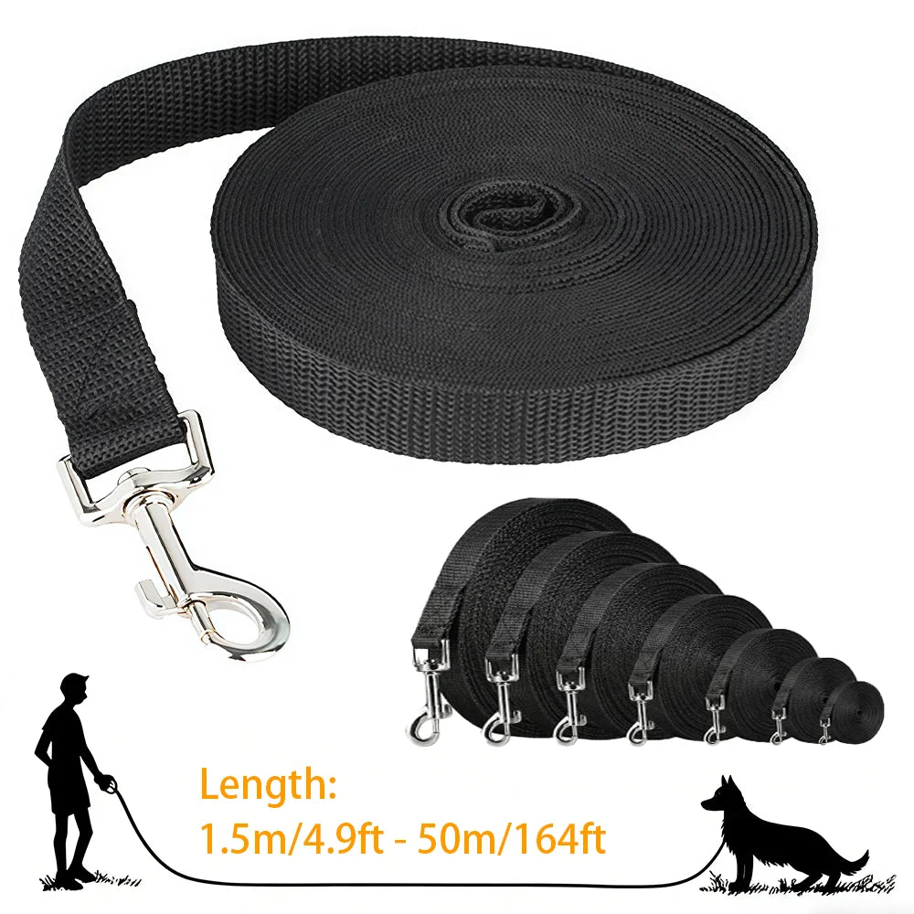 PawTrail Leash