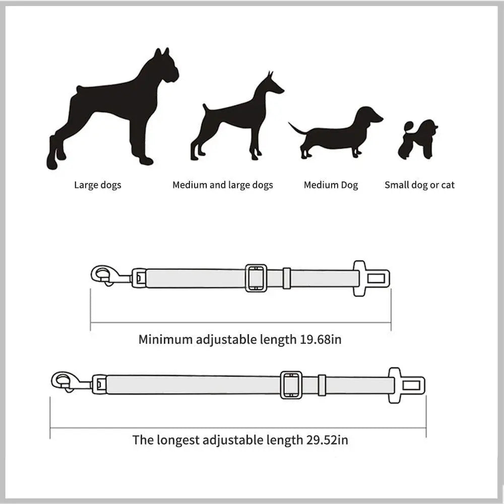 PawBuckle