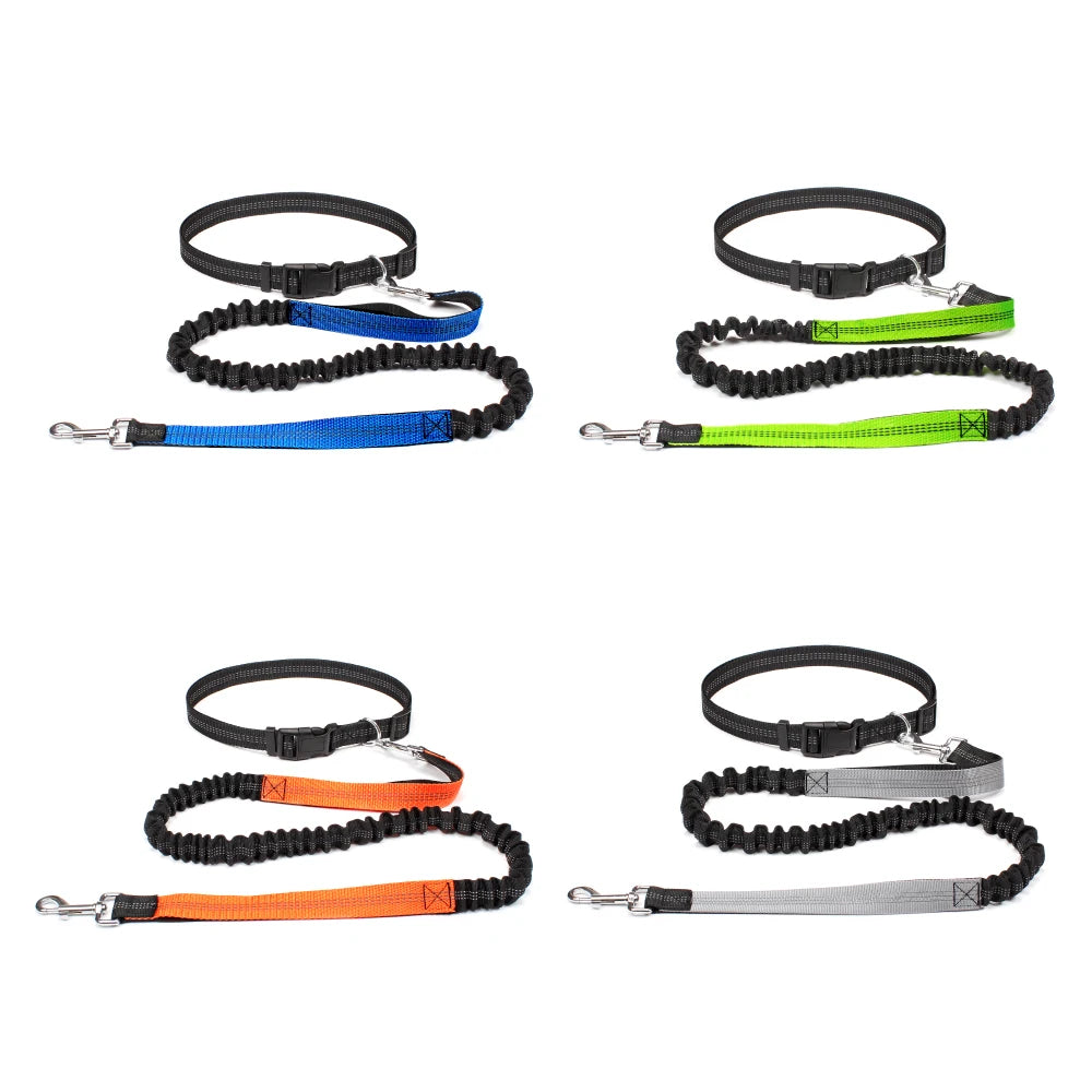 PawStride Hands-Free Dog Leash