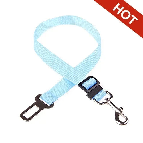 PawBuckle