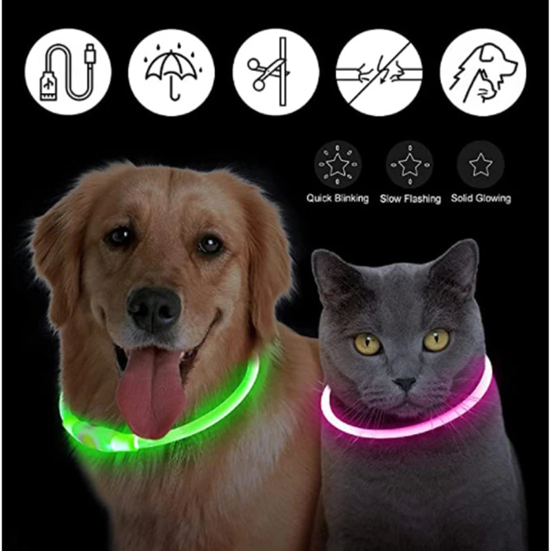 GlowPaw Safety Light Collar