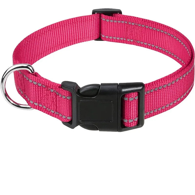 CharmPaw Pet Collar
