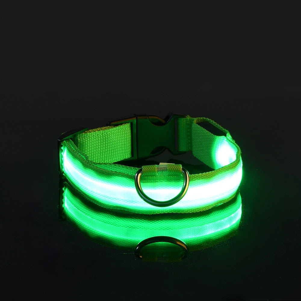 GlowPaw