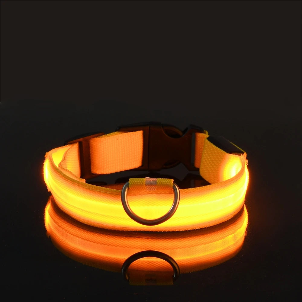 GlowPaw