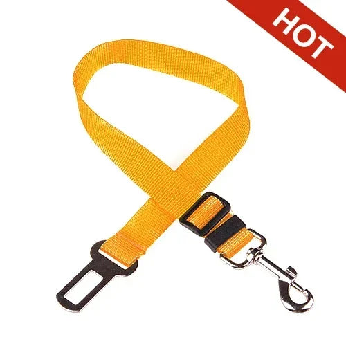 PawBuckle