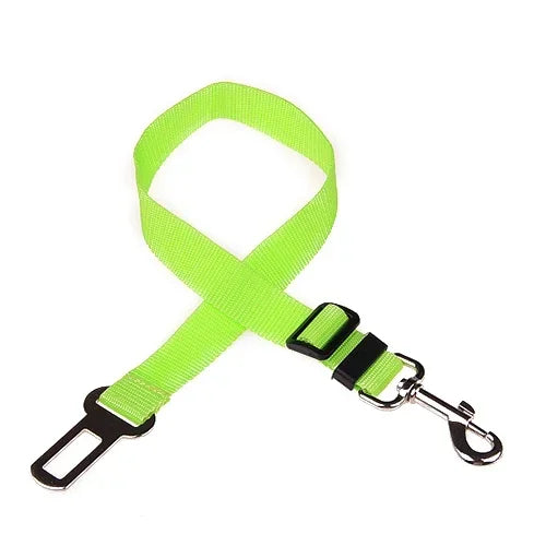 PawBuckle