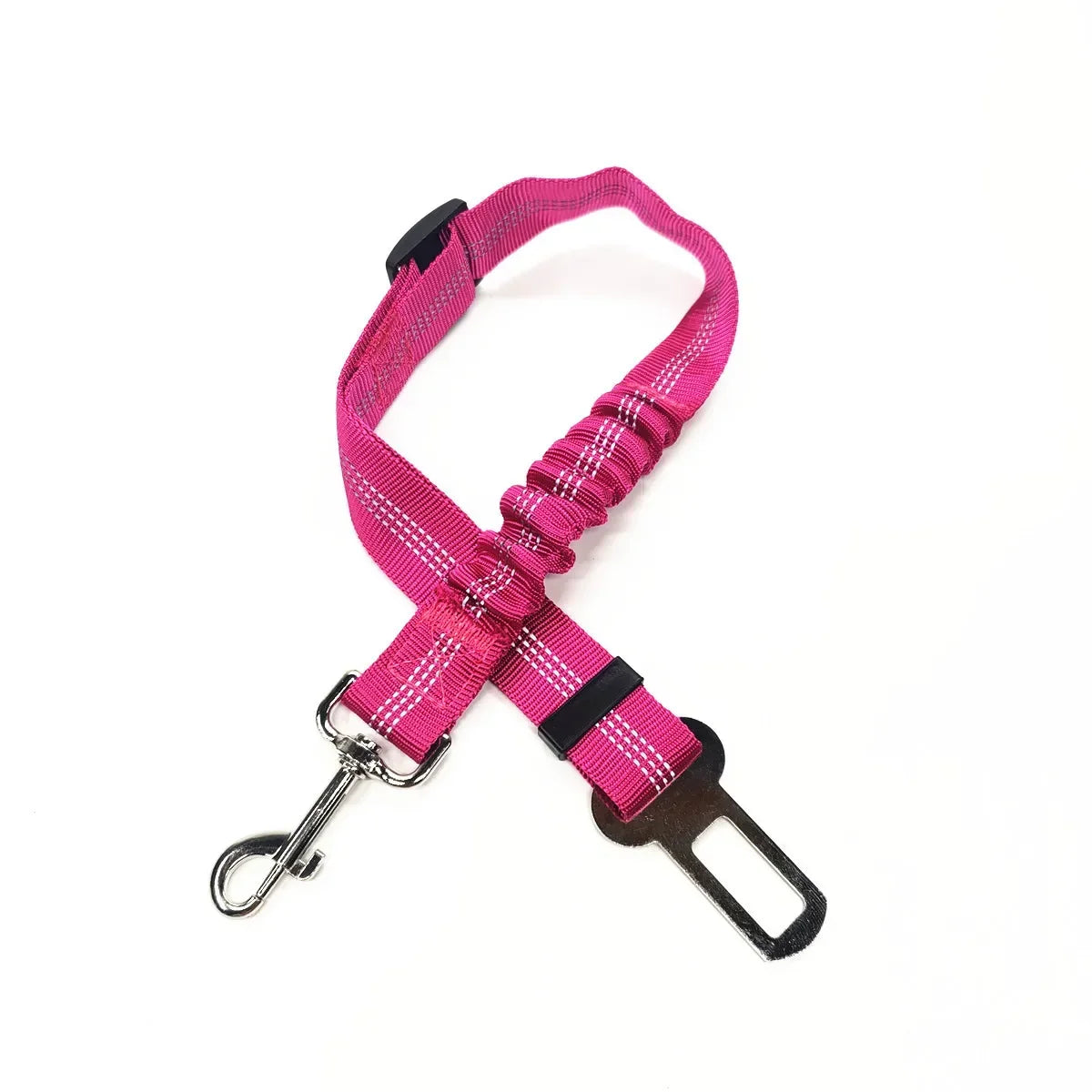 PawBuckle