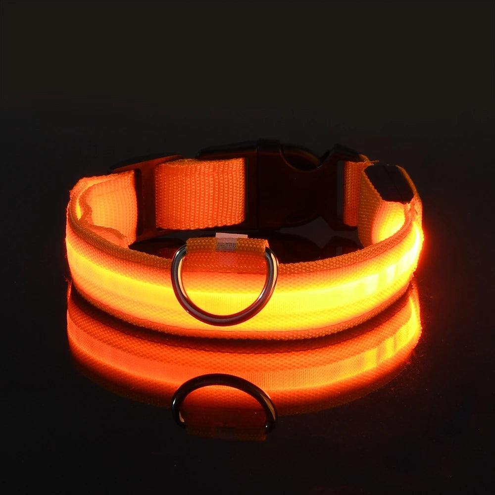 GlowPaw