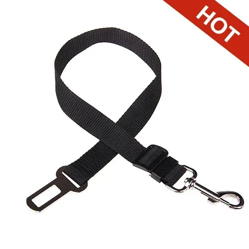 PawBuckle