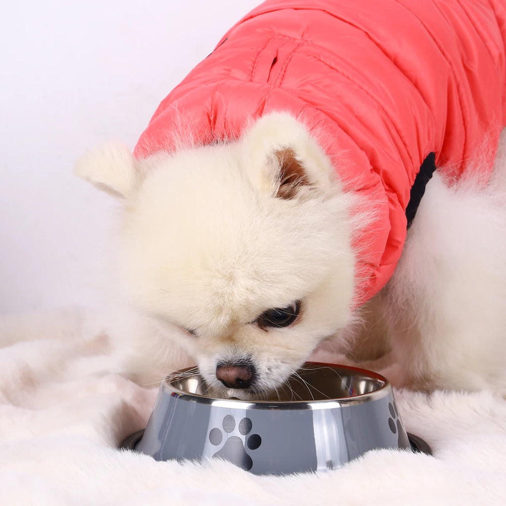PawBowl