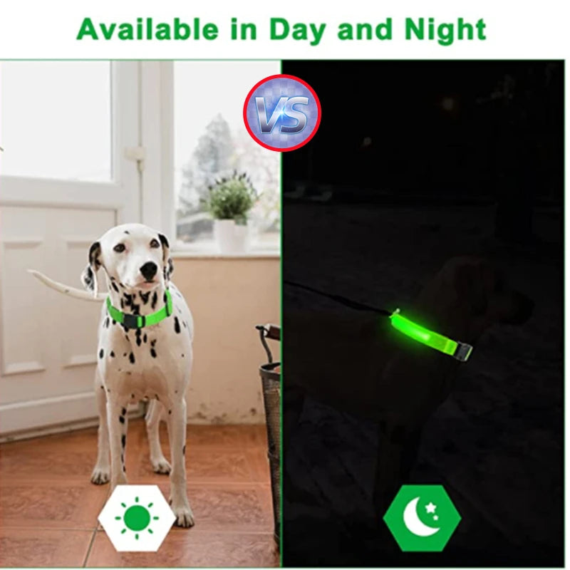 GlowPaw Safety Light Collar