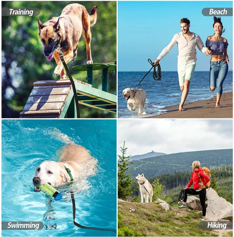 PawTrail Leash