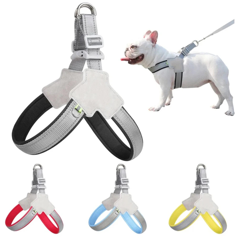 SafePaw Harness
