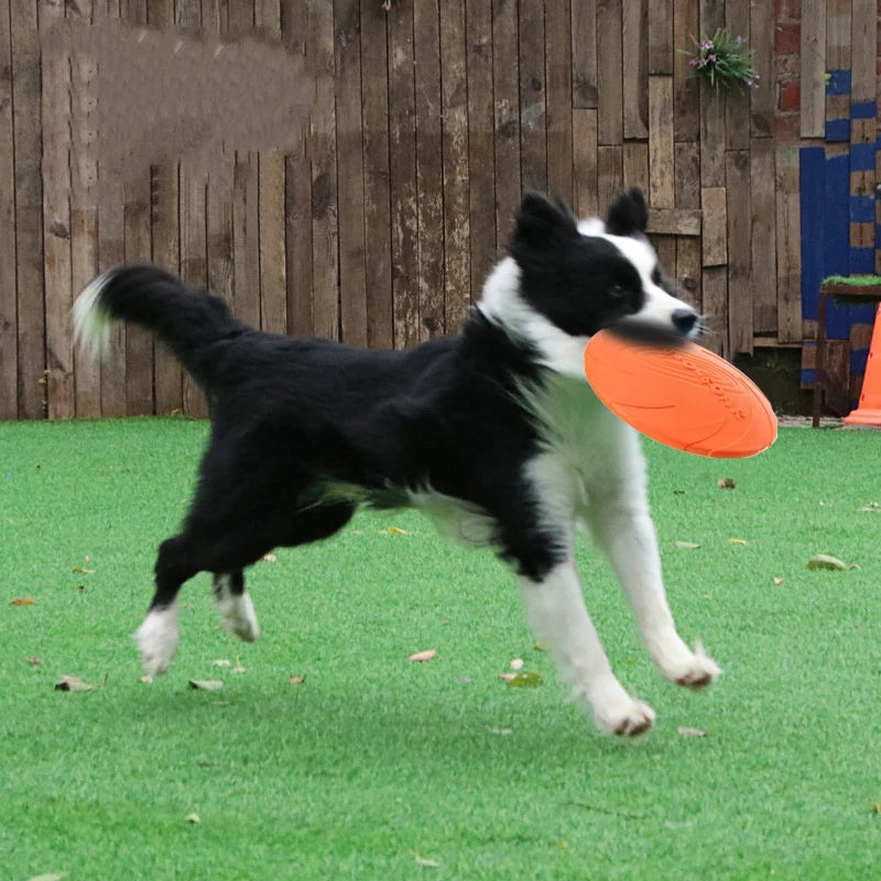 FlyPaw Interactive Dog Disc