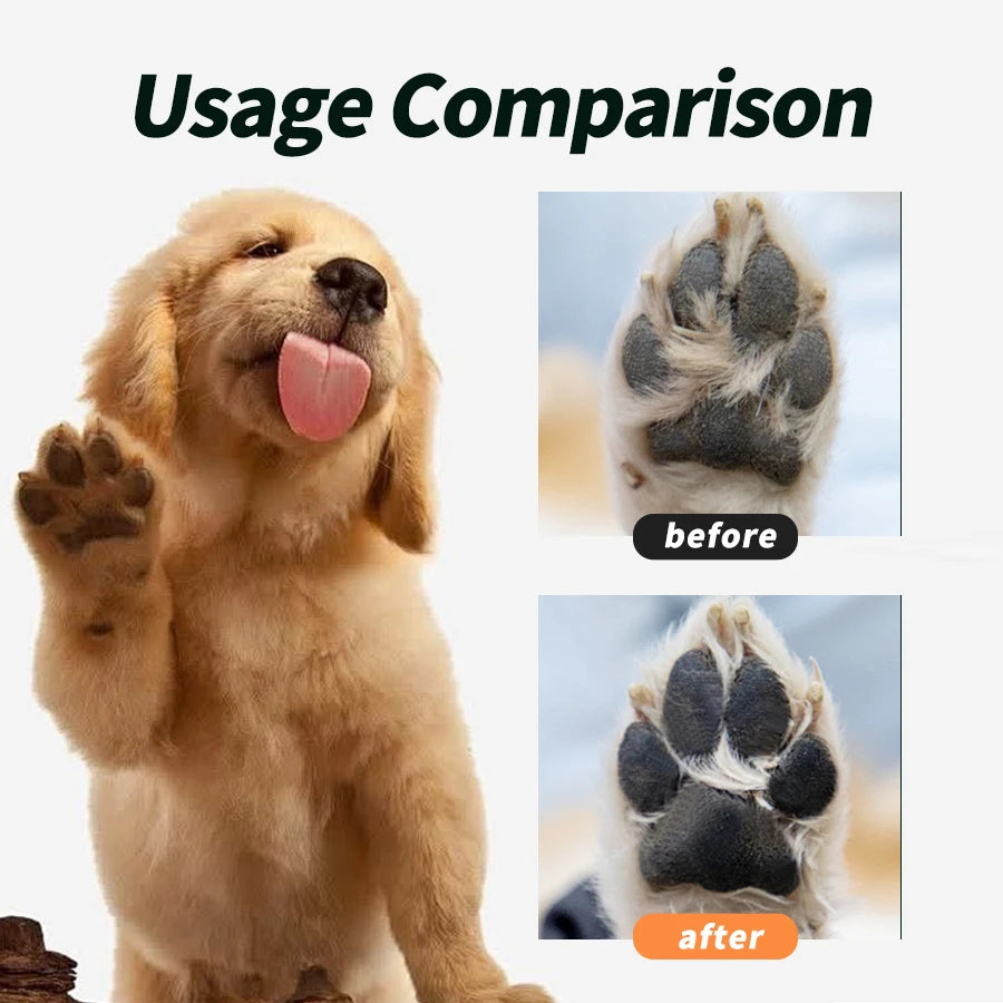 PawFresh™ Foam