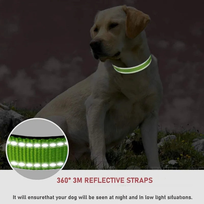 CharmPaw Pet Collar