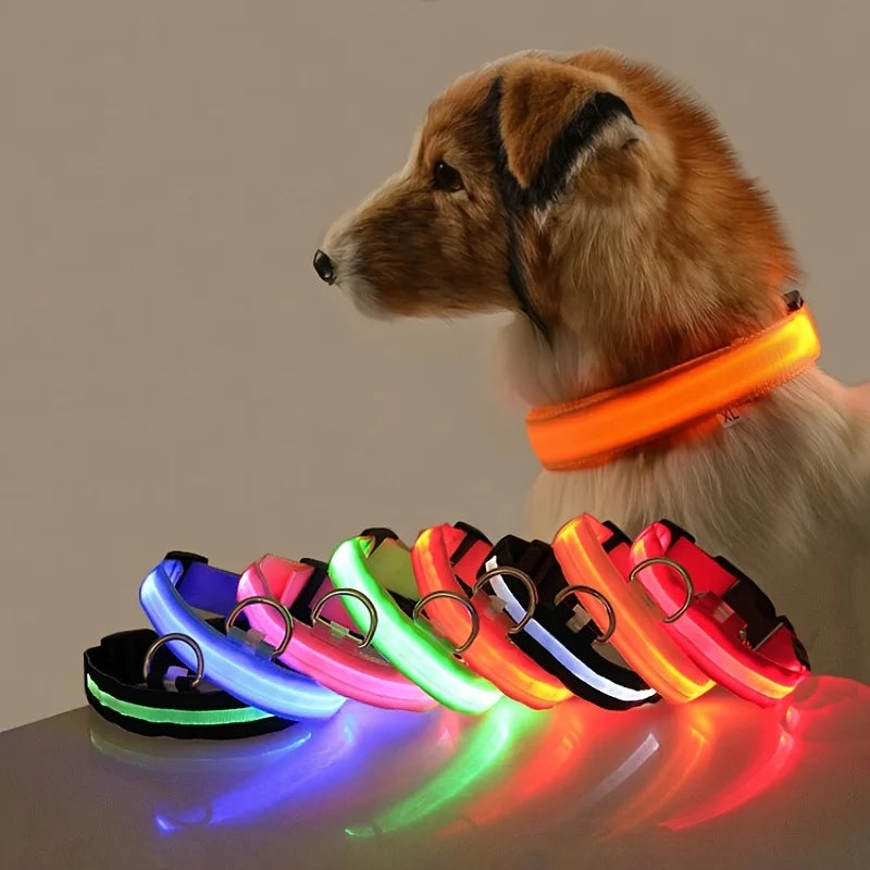 GlowPaw