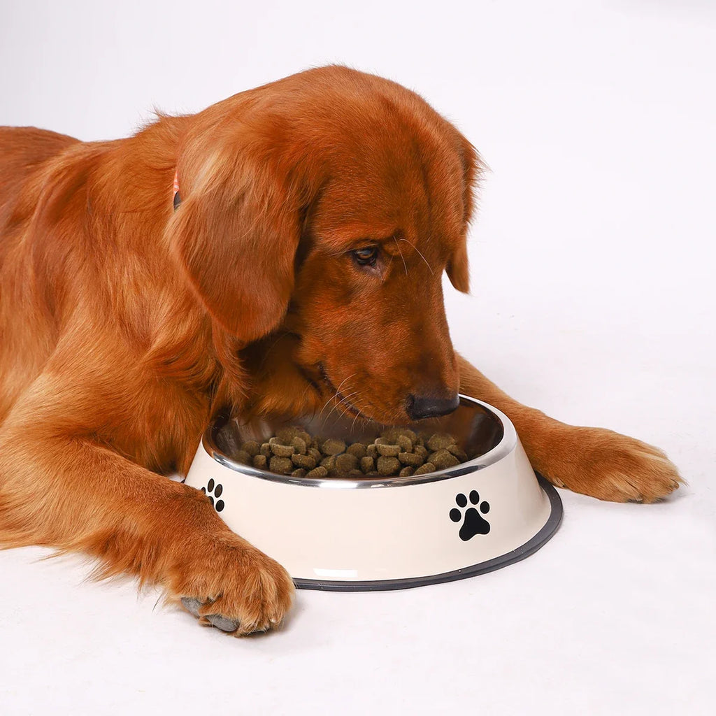 PawBowl