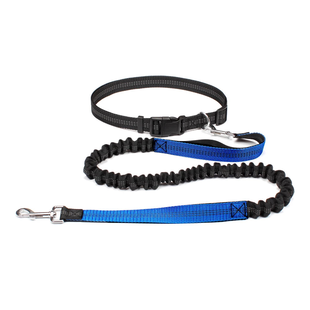 PawStride Hands-Free Dog Leash