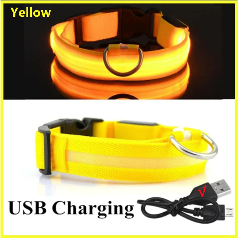 GlowPaw Safety Light Collar