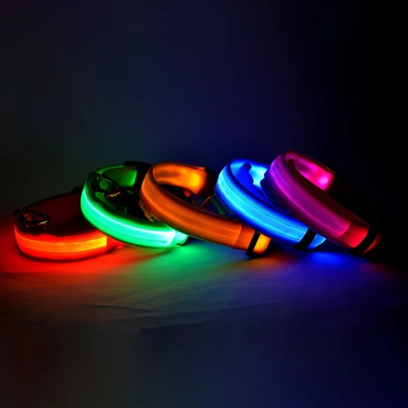 GlowPaw