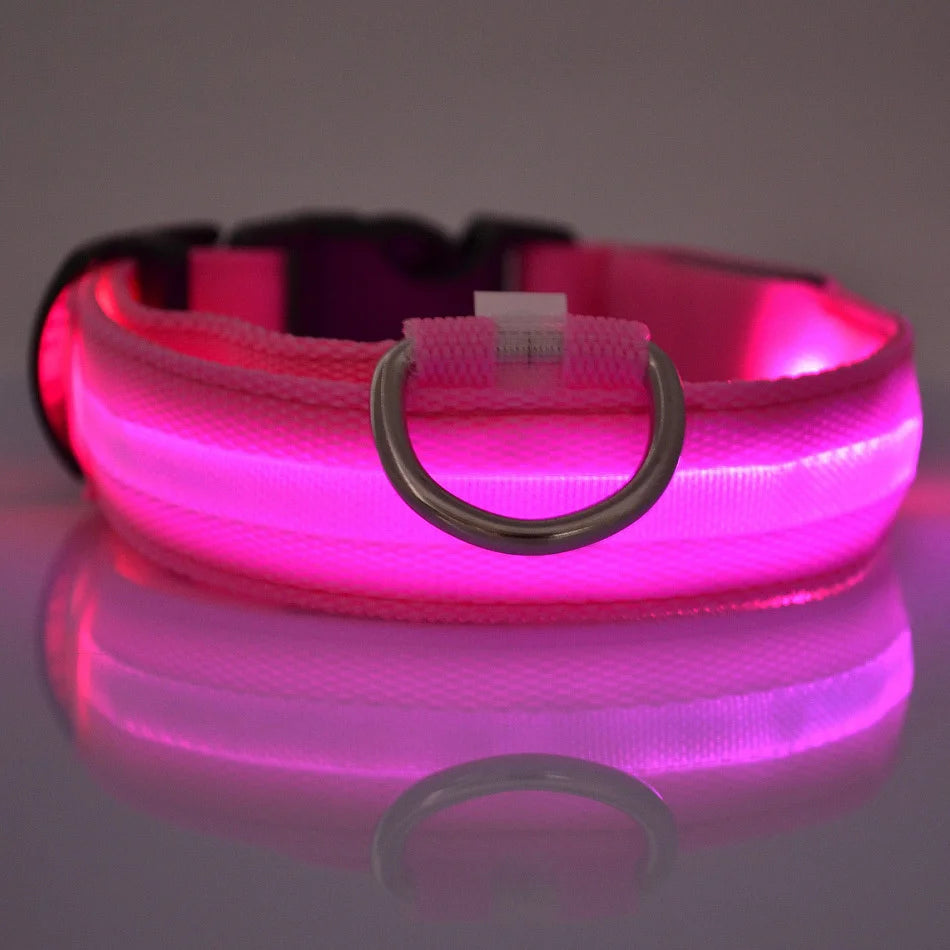 GlowPaw