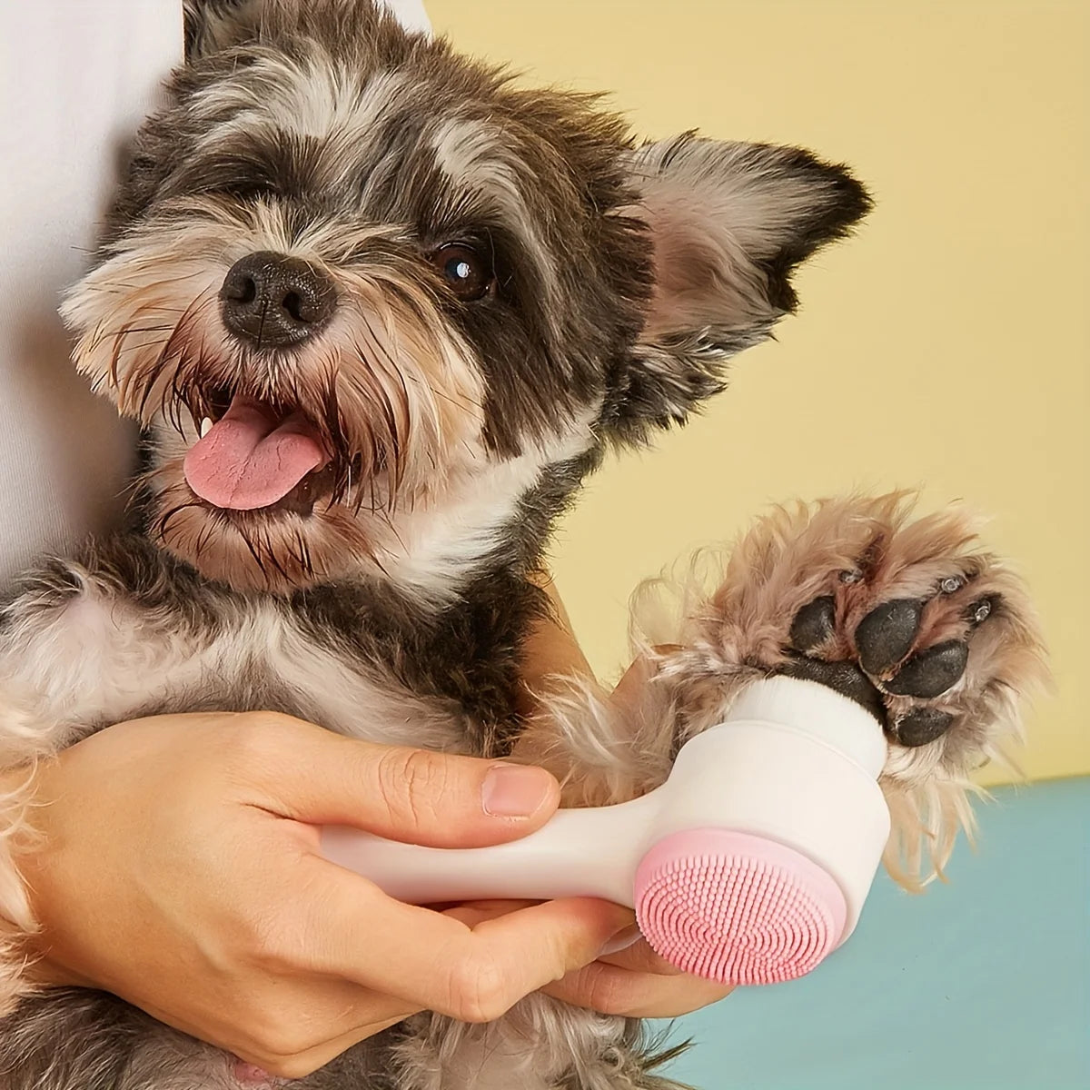 PawSpa
